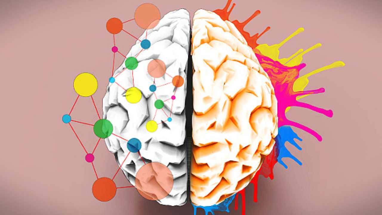 Un disegno di un cervello con dei colori
