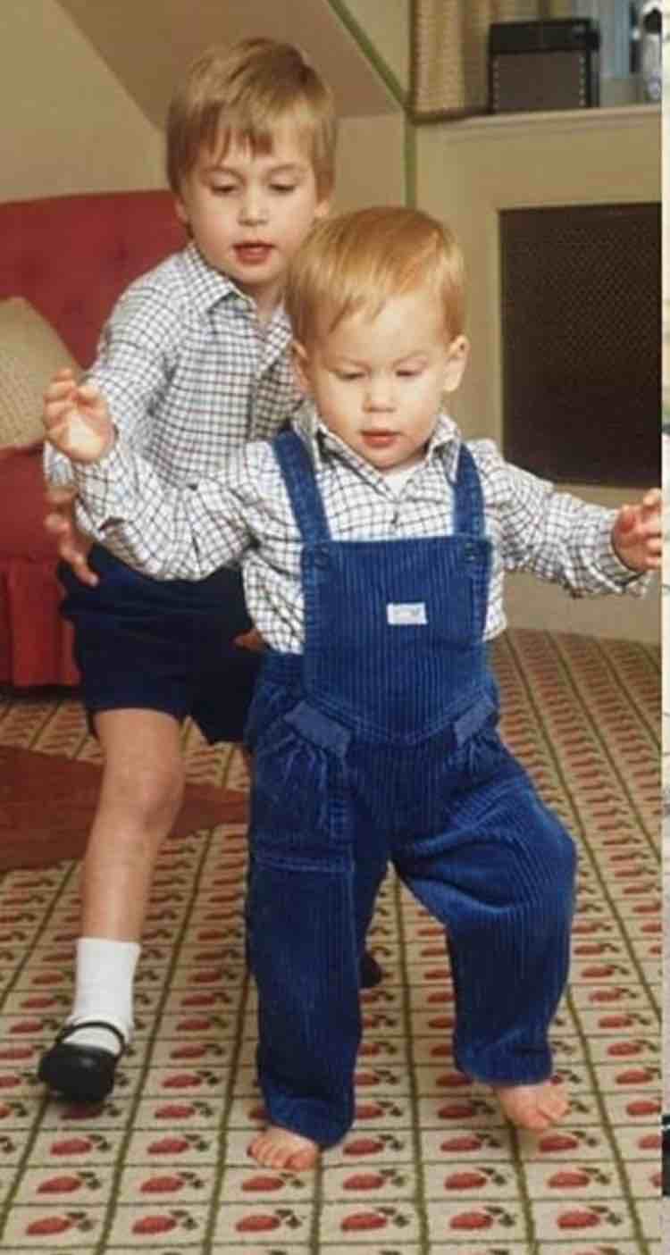 harry e William