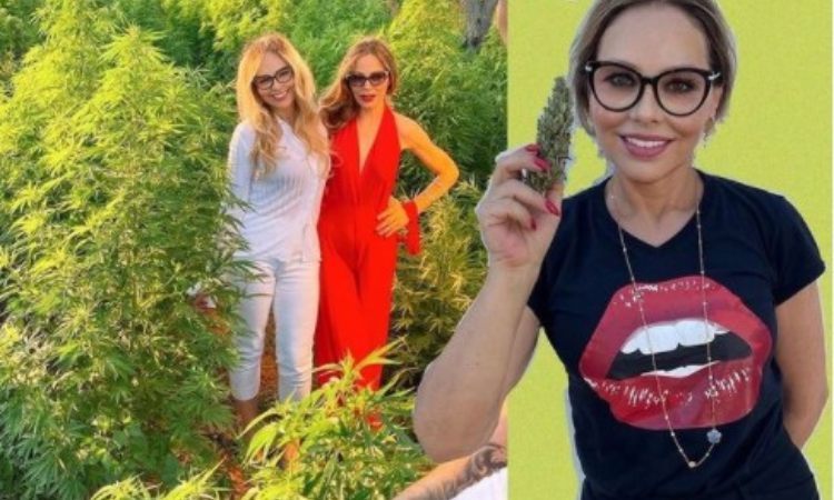 Ornella Muti e l'associazione con la cannabis