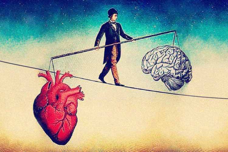 Il cuore e il cervello in equilibrio