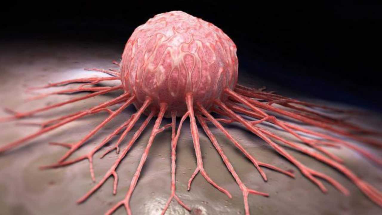 Cancro la scoperta che può cambiarvi la vita