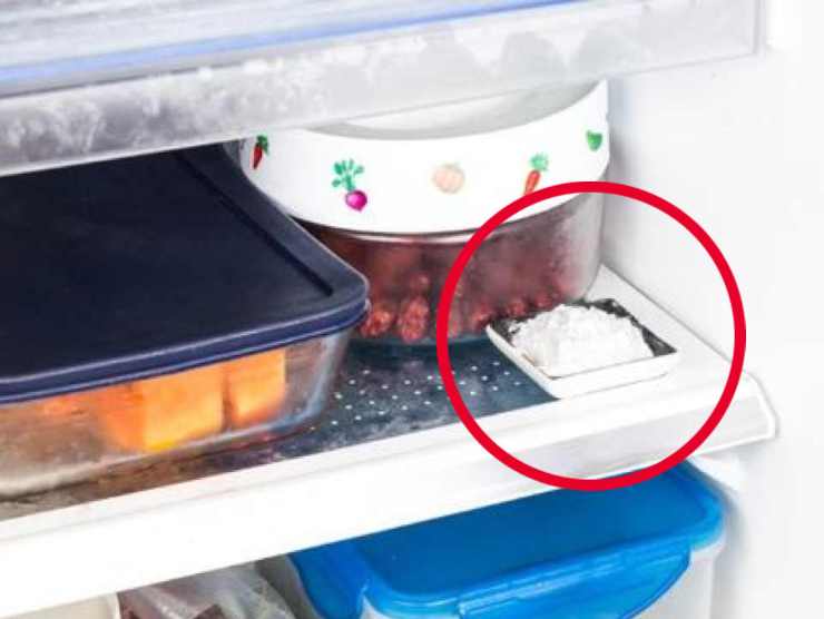 Basta mettere una vaschetta di bicarbonato nel frigo (fonte web)