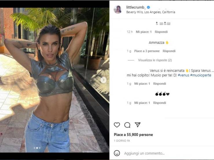 Elisabetta Canalis IG post (foto web)