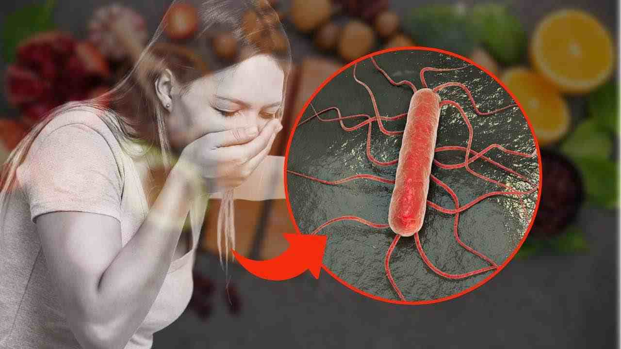 Listeria sintomi(Fonte Web)