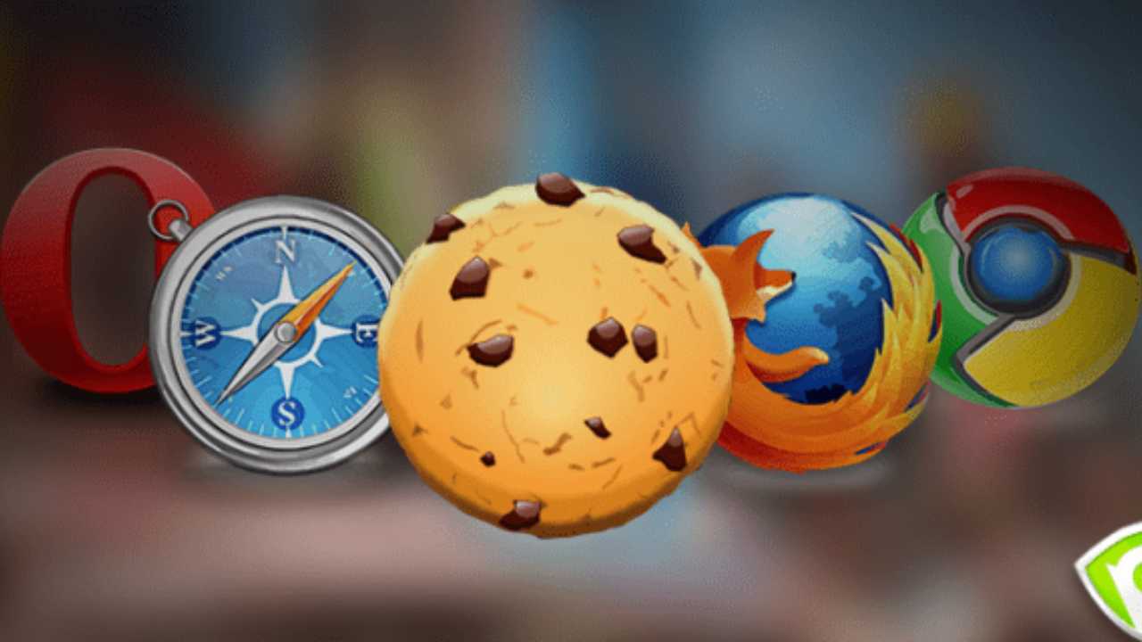 Accettare o rifiutare Cookies-(Fonte Web)