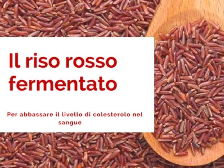 Riso-rosso-fermentato(Fonte Web)